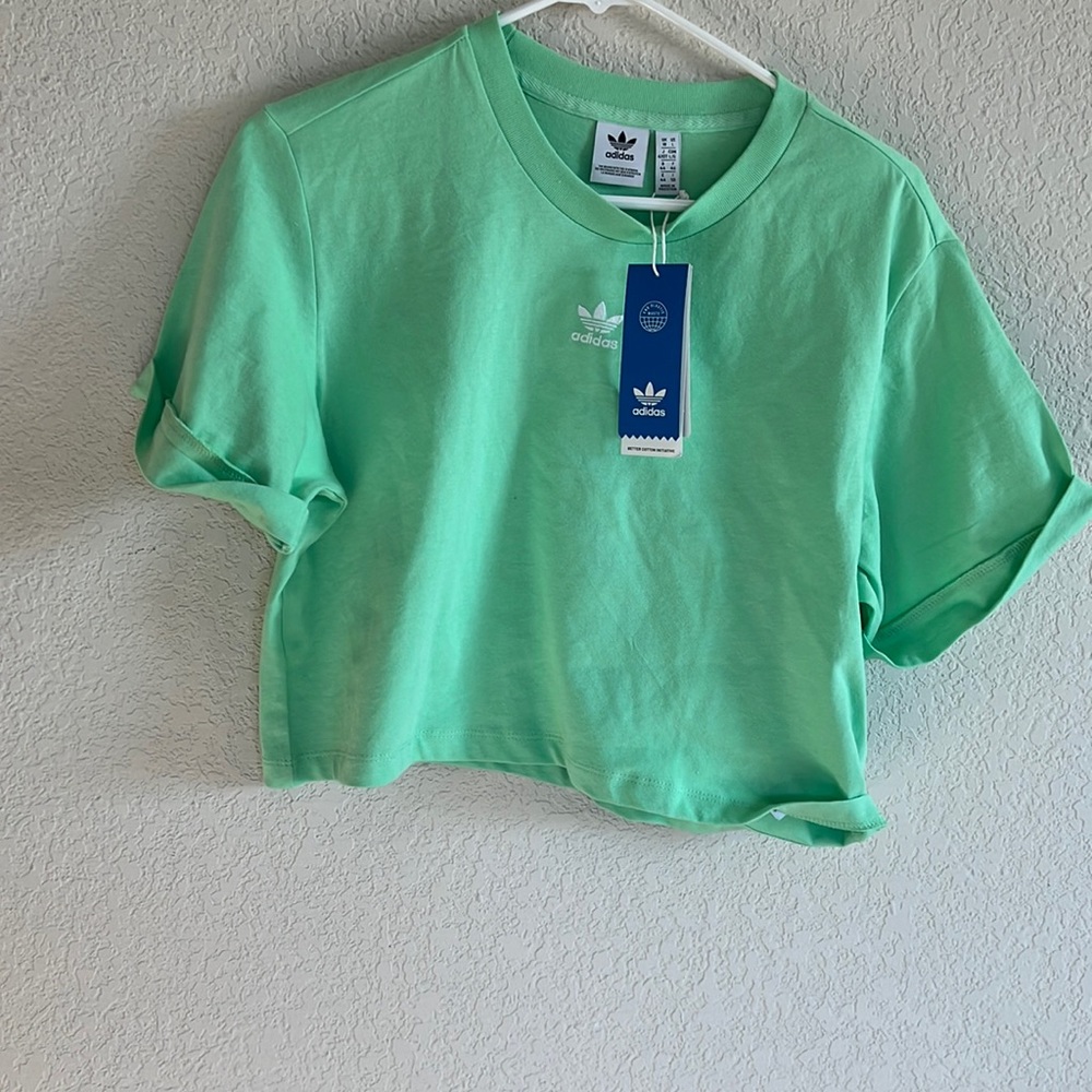 adidas logo tee Originals Essentials cropped t-shirt in mint-Green - Picture 4 of 10